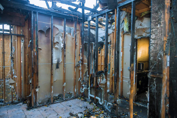 Professional Smoke Damage Removal technician working in Northfield, OH